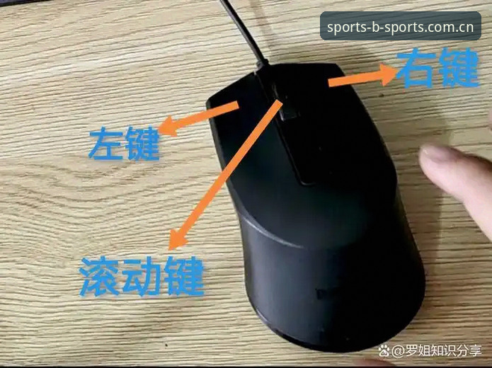 BSports如何登录？从入门到精通的操作全解析