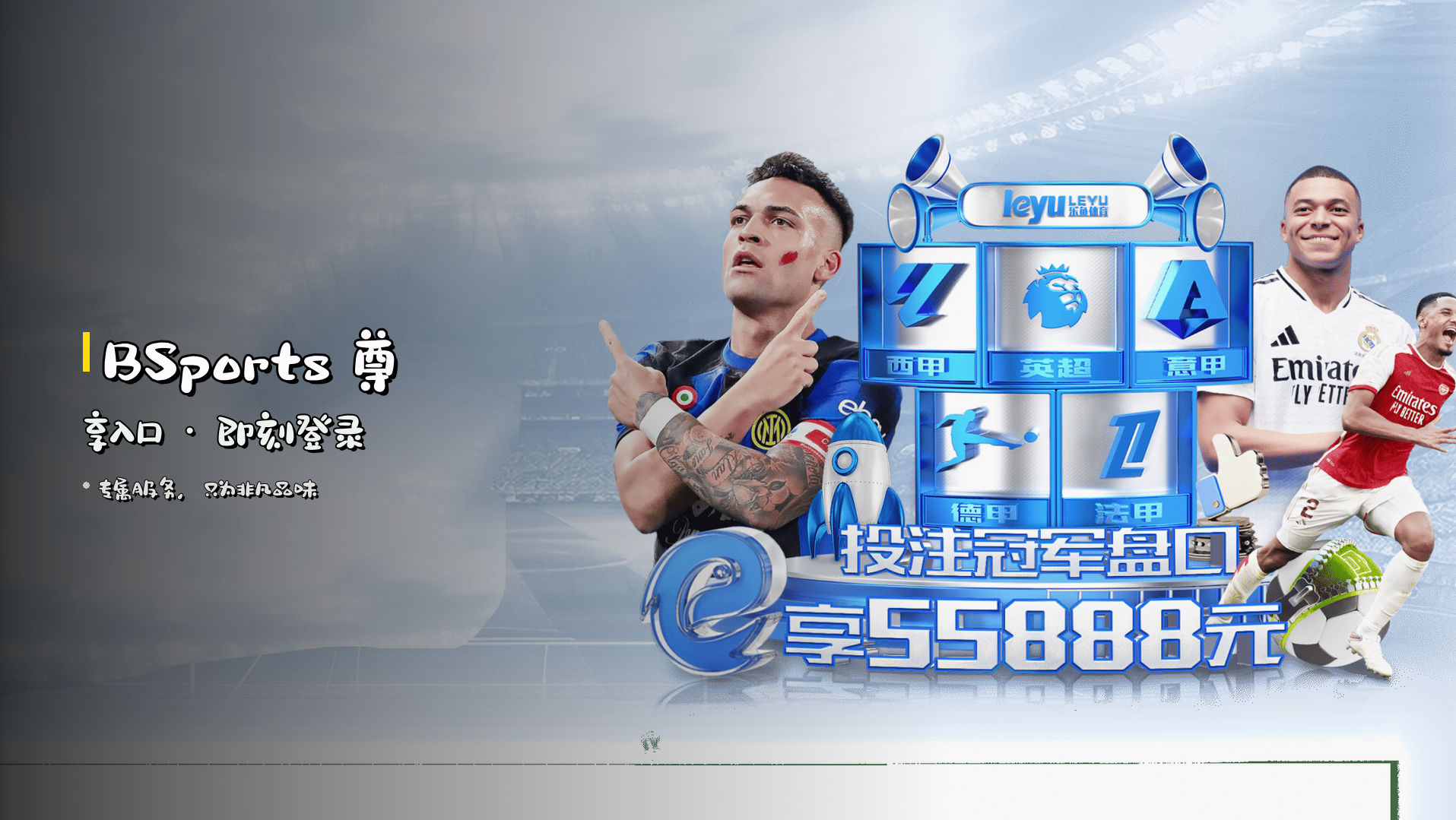 <strong>BSports</strong> 尊享入口 · 即刻登录